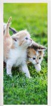 Deursticker Kittens - Kat - Mand - Meisjes - Kinderen - Jongens - Kids - 80x205 cm - Deurposter