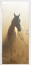Deursticker Paard - Licht - Zand - 85x215 cm - Deurposter