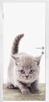 Deursticker kids - Decoratie kinderkamers - Kitten - Kat - Huisdieren - Jongens - Kinderen - Meisjes - 90x215 cm - Deursticker dieren - Stickers voor kinderen