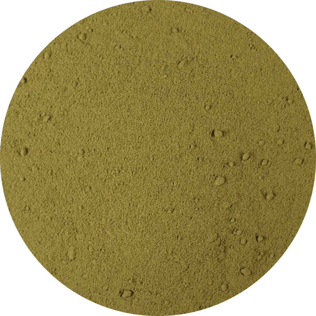 Goedkoopste Van Beekum Specerijen - Rozemarijn Gemalen - 10 KG - Zak (bulk verpakking