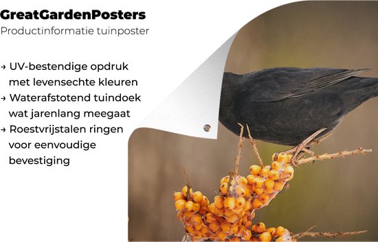 Décoration de Jardin Vogel - Merle - Hiver - Glace - Baie - 40x30 cm - Toile de jardin - Poster extérieur