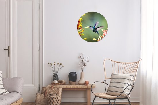 WallCircle - Cercle mural - Cercle mural - Nymphe des bois couronnée pourpre dans le parc national du Costa Rica - Aluminium - Dibond - ⌀ 30 cm - Intérieur et Extérieur