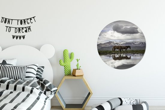 Deux chevaux islandais au bord de l'eau Cercle mural aluminium