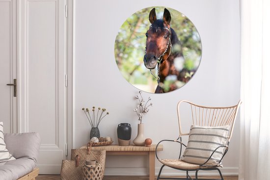 WallCircle - Wandcirkel - Muurcirkel - Paarden - Bloesem - Lente - Dieren - Aluminium - Dibond - ⌀ 140 cm - Binnen en Buiten