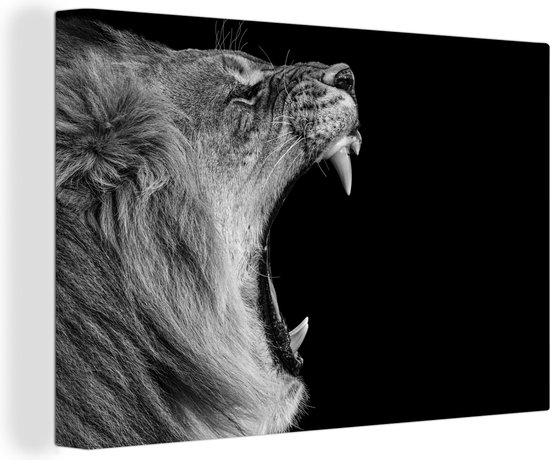 Wild Animals Pictures Black Gold Animal Poster, Lion Pictures