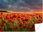 Poster Zonsondergang - Klaprozen - Rood - Bloemen - Veld - Natuur - 40x30 cm