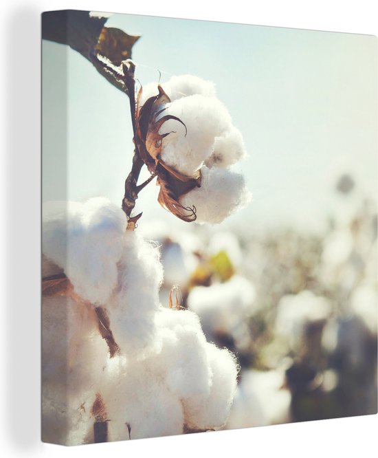 Toile Peinture Plantes - Bloem - Branche - Nature - 50x50 cm - Décoration murale