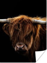 Poster Schotse Hooglander - Horens - Zwart - Dieren - Natuur - Wild - Koe - 30x40 cm