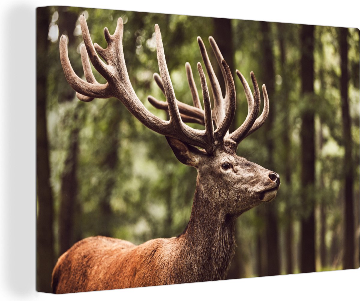 Belling cerf dans la forêt Toile Photo Place | Taille: 40x40 cm | Décoration murale | Impression artistique | Entièrement assemblé
