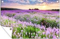 Een tuinposter met een lavendelveld bij zonsondergang, met een hoek omgeslagen.
