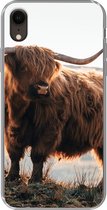 Geschikt voor iPhone XR hoesje - Schotse hooglander - Dieren - Landelijk - Landschap - Koe - Natuur - Siliconen Telefoonhoesje