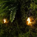 Een warm brandende LED-lamp tussen de groene bladeren van varens en mos.