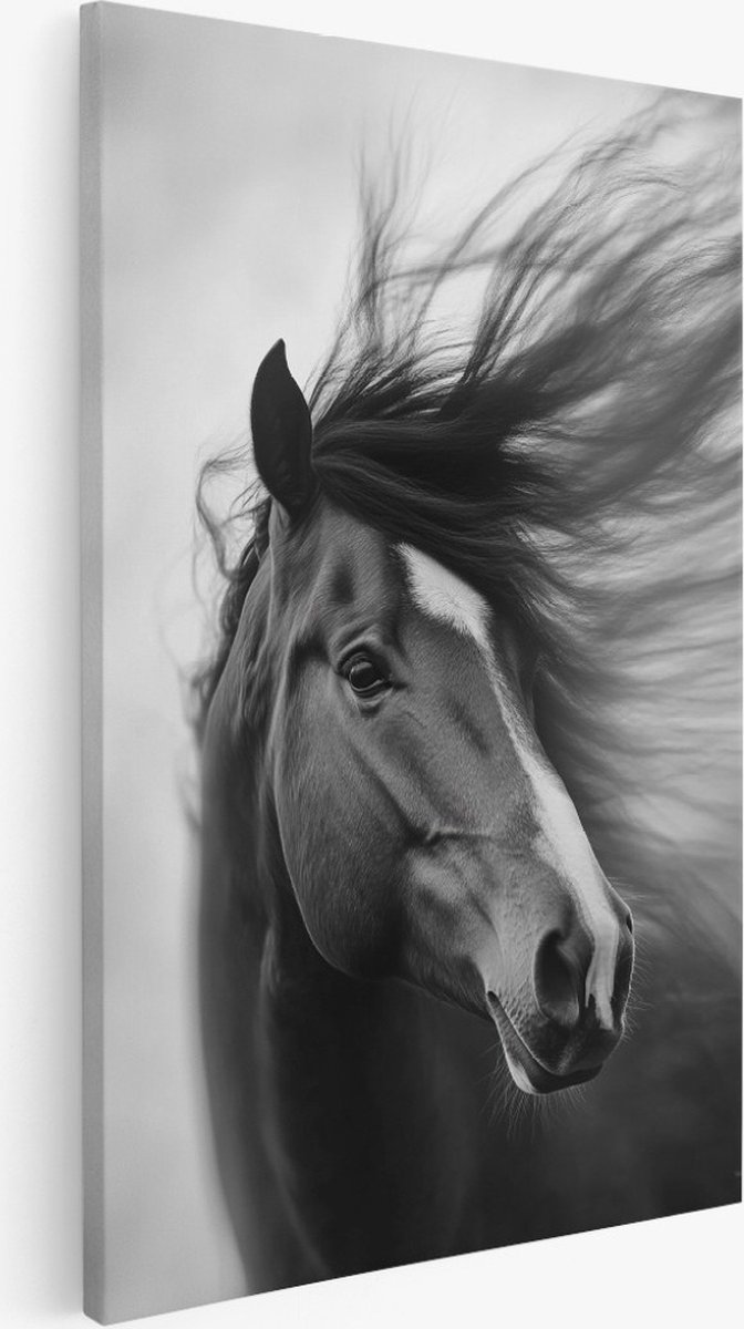Saammp Canvas Schilderij - Paard met lange manen - Dieren - Natuur - 20x30 - Foto op canvas - Wanddecoratie - Muurdecoratie Woonkamer - Slaapkamer decoratie - Canvas Print Multicolor