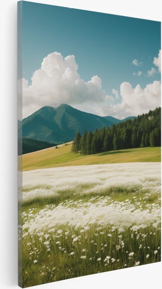 Saammp Canvas Schilderij - Landschap - Witte bloemenveld met naaldbomen - Natuur - 30x40 - Foto op canvas - Wanddecoratie - Muurdecoratie Woonkamer - Slaapkamer decoratie - Canvas Print Multicolor