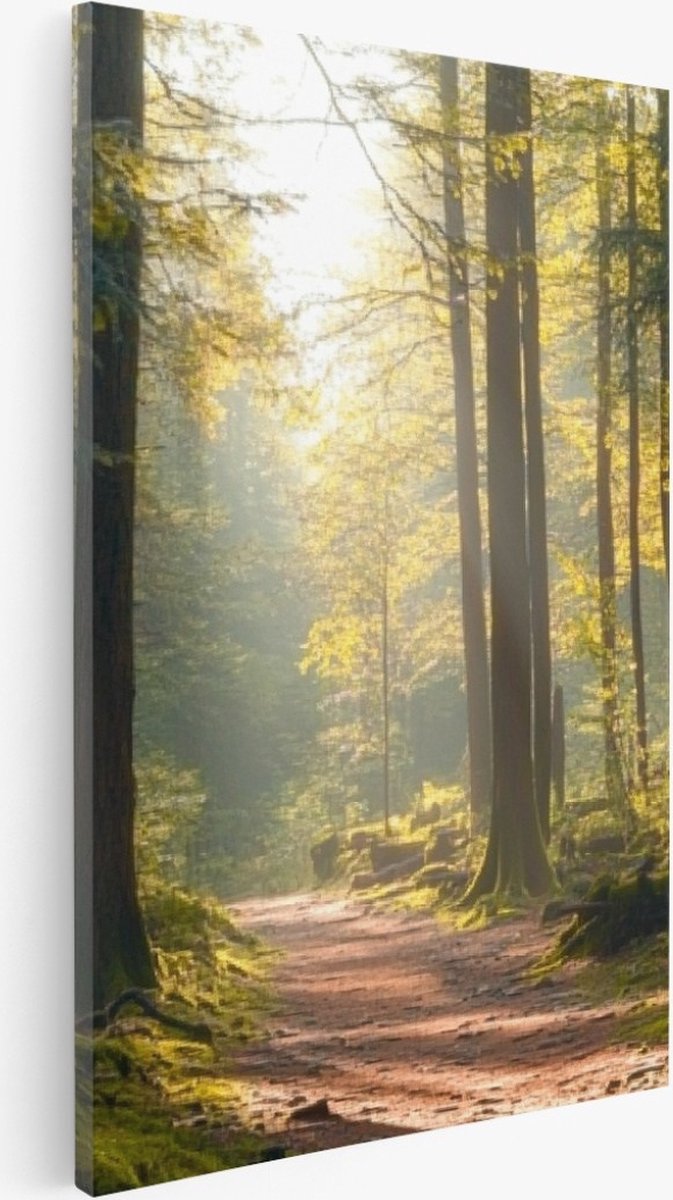 Saammp Canvas Schilderij - Natuur - Bergen - landschap - 40x50 - Foto op canvas - Wanddecoratie - Muurdecoratie Woonkamer - Slaapkamer decoratie - Canvas Print Multicolor