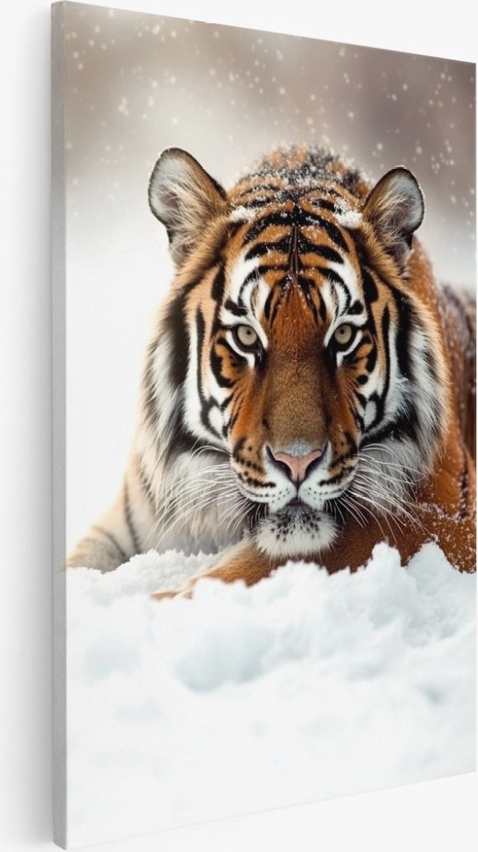 Saammp Canvas Schilderij - Tijger in de sneeuw - Dieren - Natuur - 75x100 - Foto op canvas - Wanddecoratie - Muurdecoratie Woonkamer - Slaapkamer decoratie - Canvas Print Multicolor