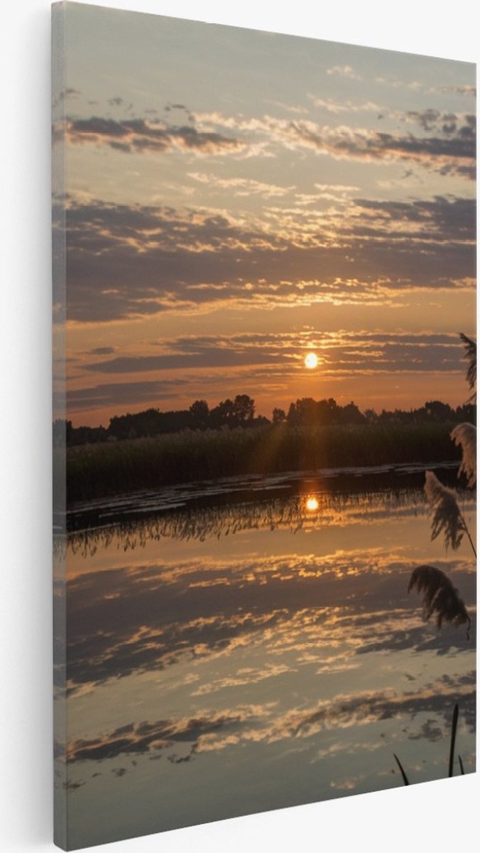 Saammp Canvas Schilderij -Landschap - Zonsondergang - Planten - 50x70 - Foto op canvas - Wanddecoratie - muurdecoratie Woonkamer - Slaapkamer decoratie - Canvas Print Multicolor