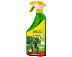 ECOstyle Spruzit-R Insecten Bestrijdingsmiddel Spray - Bladluis, Trips, Witte Vlieg - 100% Plantaardig - Binnen & Buiten - Gebruiksklaar - 750 ML