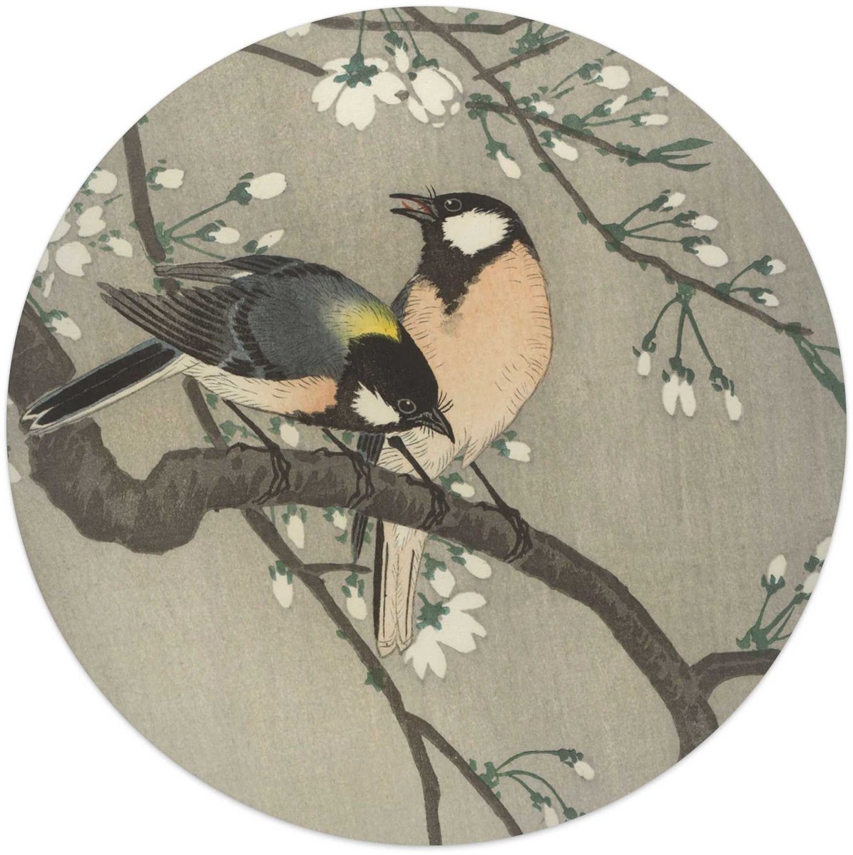 Glasschilderij Ohara Koson - Koolmezen op bloesemtak - Ø 50 - Glas - REINDERS