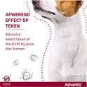 Jack Russell Terriër met tekst "Afwerend effect op teken". Vlooien en teken getekend.