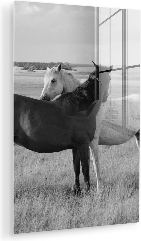 Peinture sur verre - Photo sur verre - Verre acrylique - Animaux - Paarden - Herbe - Nature - 60x90 cm - Peinture sur verre cheval - Peinture sur verre - Peinture sur verre animaux - Décoration murale - Chambre
