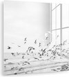 Strand - Vogels