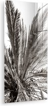MuchoWow® Glasschilderij 20x40 cm - Schilderij acrylglas - Palmboom - Tropisch - Zwart - Wit - Foto op glas - Muurdecoratie woonkamer - Wanddecoratie slaapkamer - Schilderijen