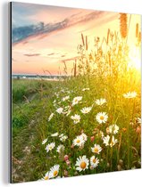 Décoration murale Métal - Peinture Aluminium Industrielle - Fleurs - Marguerite - Nature - Soleil - Horizon - 20x20 cm - Dibond - Photo sur aluminium - Décoration murale industrielle - Pour le salon / chambre