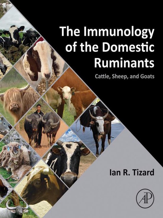 The Immunology of the Domestic Ruminants - cover