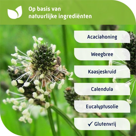 Natterman Direct Voor Alle Hoest Hoestsiroop - Voor droge en vastzittende hoest - Met calendula extract - Vanaf 18 jaar - Hoestdrank - Medisch hulpmiddel - 180 ml