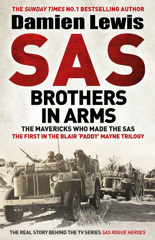 SAS Brothers in Arms - cover