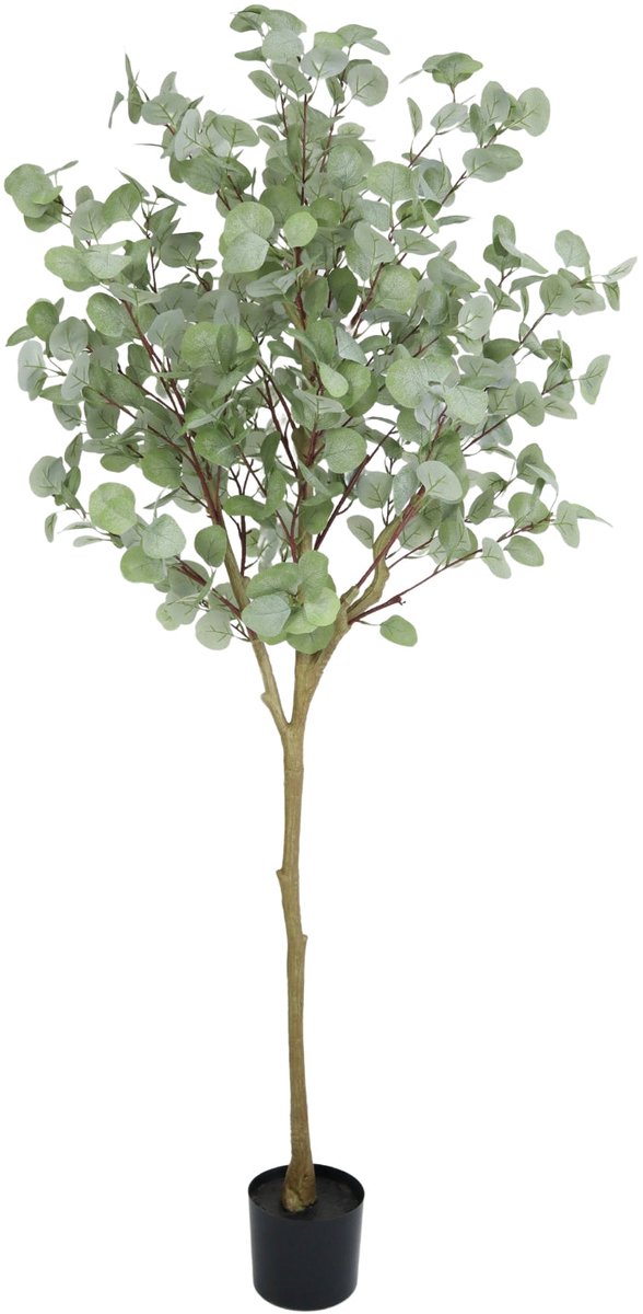 Eucalyptus Kunstboom - 160cm hoog | Eucalyptus Kunstboom Groen | Eucalyptus Kunstboom voor Binnen