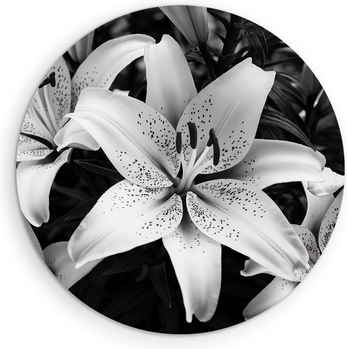 Saammp Muurcirkel Hout - Bloemen - Witte Lelies - Natuur - Abstract - Ø 50 - Wandcirkel - Wanddecoratie Cirkel - Muurdecoratie Woonkamer - Kantoor Decoratie