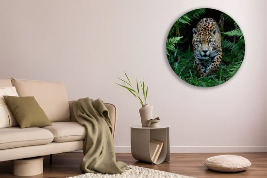 Saammp Cercle Mural Bois - Jaguar dans la nature - Animaux - Ø 30 - Cercle Mural - Décoration murale Cercle - Décoration murale Salon - Décoration Chambre - Tableau Rond