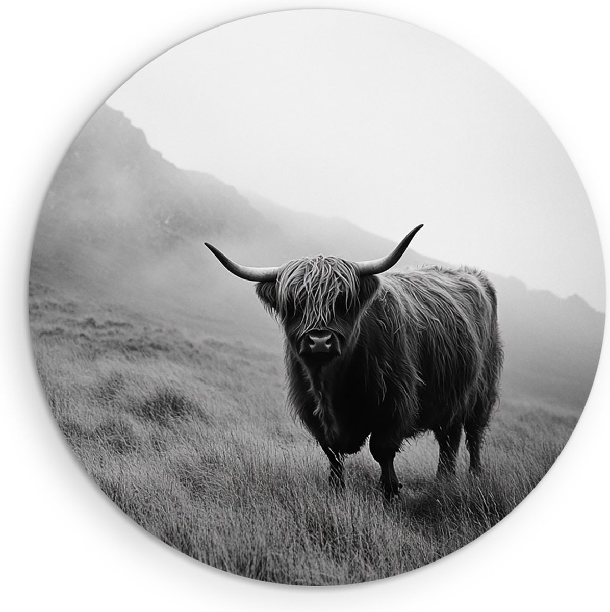 Saammp Forex Muurcirkel - Schotse Hooglander Koe in het hoge gras - Landschap - Dieren - Natuur - Ø 90 - Wandcirkel - Wanddecoratie Cirkel - muurdecoratie Woonkamer - Slaapkamer decoratie - Rond Schilderij