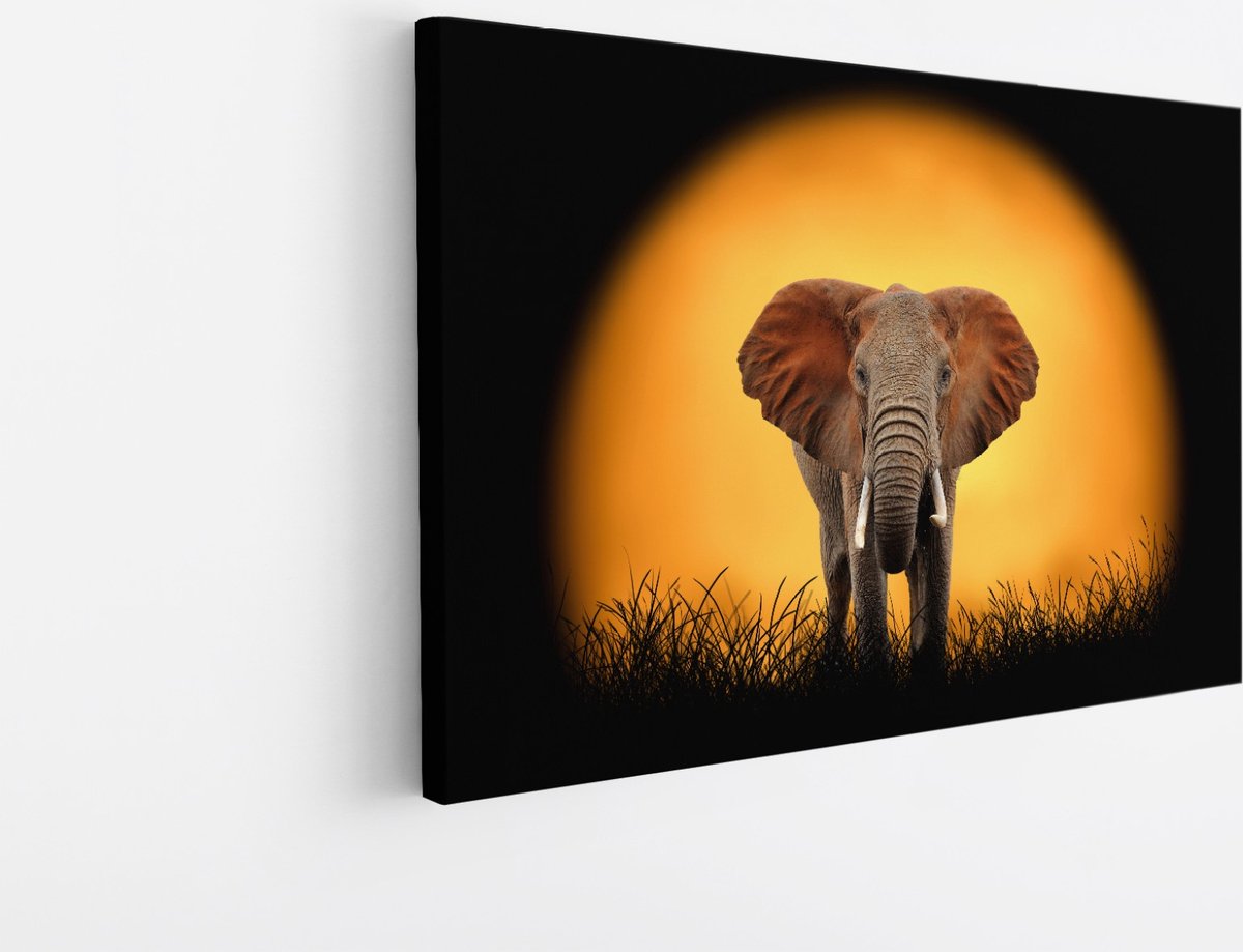 Saammp Canvas Schilderij - Olifant voor de zon - Natuur - Dieren - 45x30 - Foto op canvas - Wanddecoratie - Muurdecoratie Woonkamer - Slaapkamer decoratie - Canvas Print Multicolor