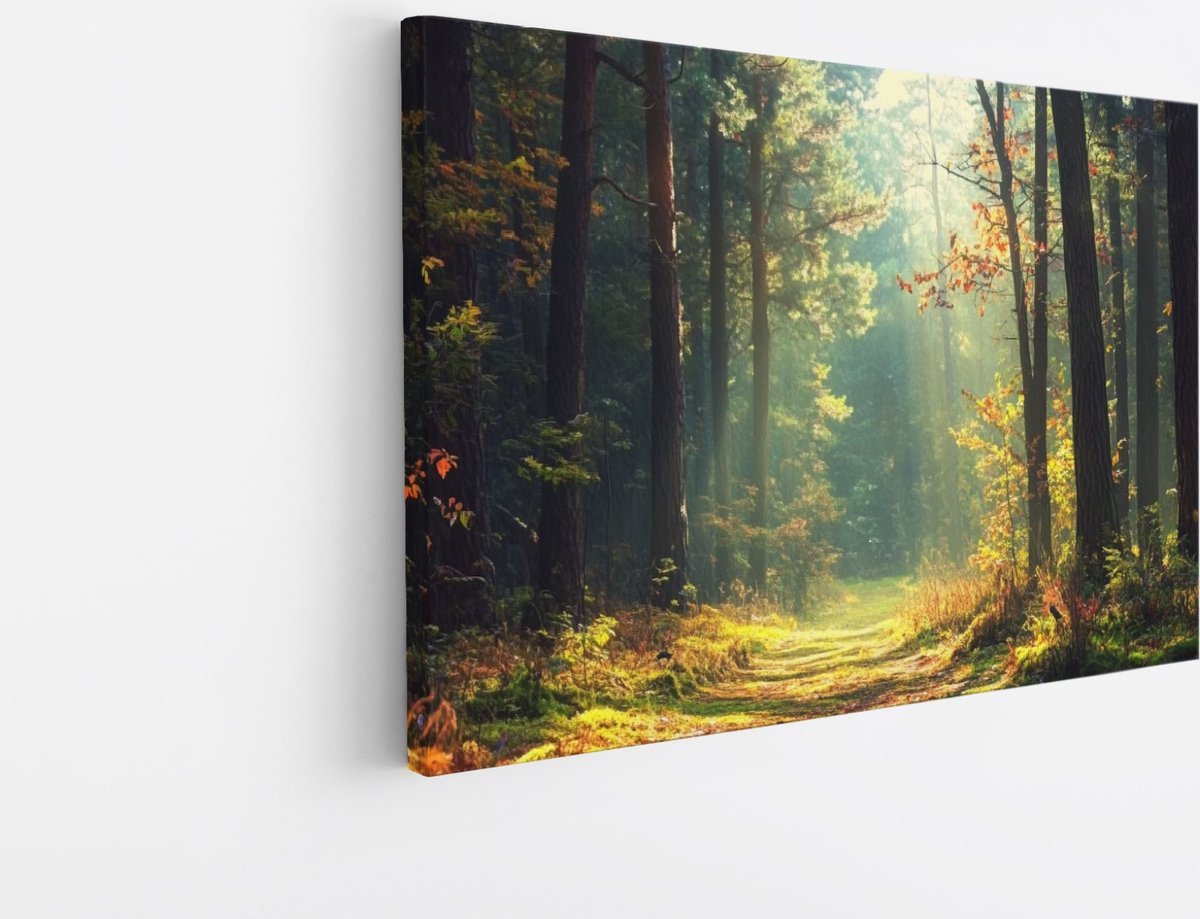 Saammp Canvas Schilderij - Botanisch - Bos - Herfstachtig - Landschap - Natuur - 90x60 - Foto op canvas - Wanddecoratie - Muurdecoratie Woonkamer - Slaapkamer decoratie - Canvas Print Multicolor