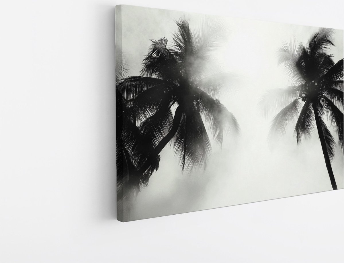 Saammp Canvas Schilderij - Natuur - 2 Bomen tussen de mist - landschap - 30x20 - Foto op canvas - Wanddecoratie - Muurdecoratie Woonkamer - Slaapkamer decoratie - Canvas Print Multicolor