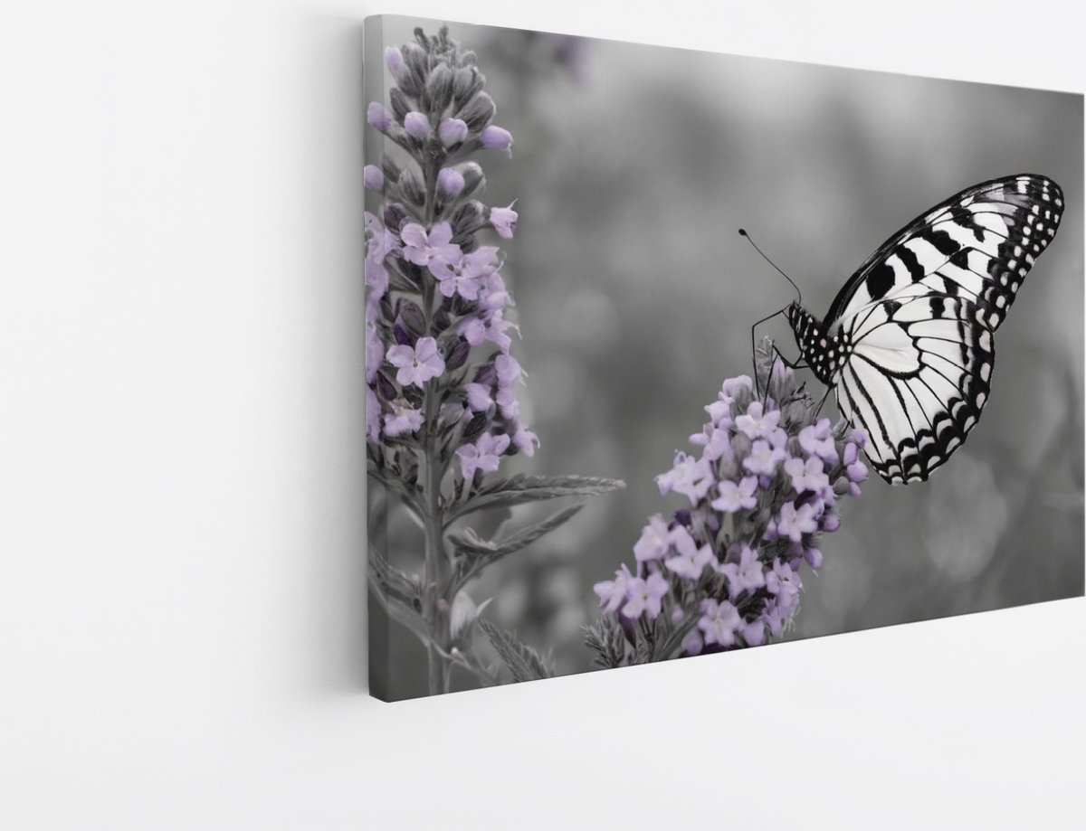 Saammp Canvas Schilderij - Paarse bloemen - vlinder - Natuur - Dieren - 70x50 - Foto op canvas - Wanddecoratie - Muurdecoratie Woonkamer - Slaapkamer decoratie - Canvas Print Multicolor
