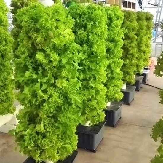 verticale-moestuin-45-planten-hydrocultuur-systeem-kweektoren