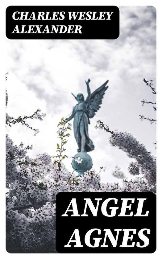 Angel Agnes - cover