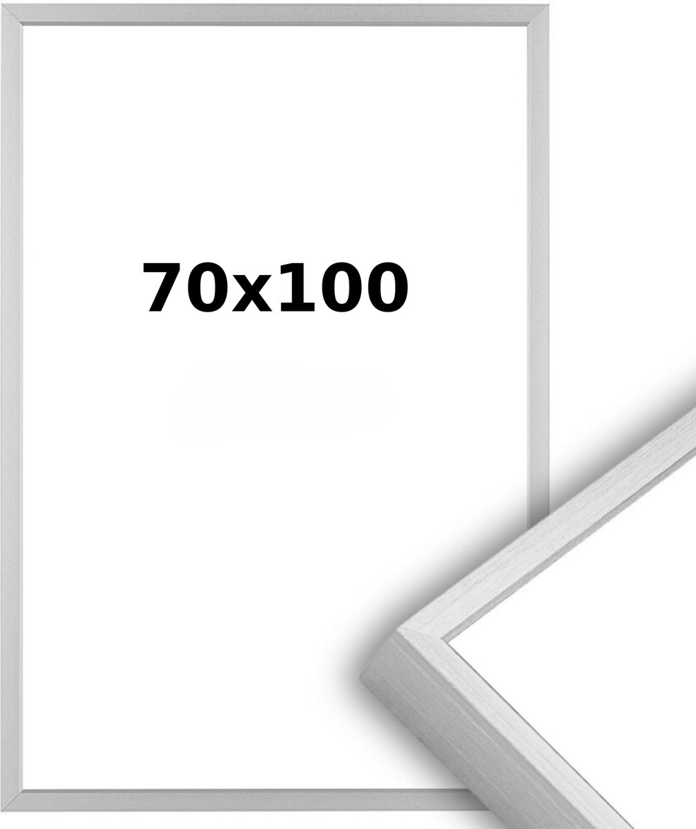 Lichtendonk Aluminium Wissellijst 70 x 100 Matzilver - Helder Acrylite - Professional