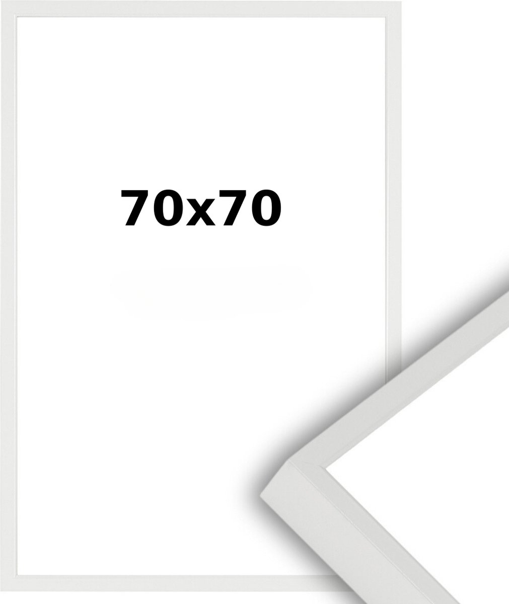 Aluminium Wissellijst 70 x 70 Wit - Helder Acrylite - Professional