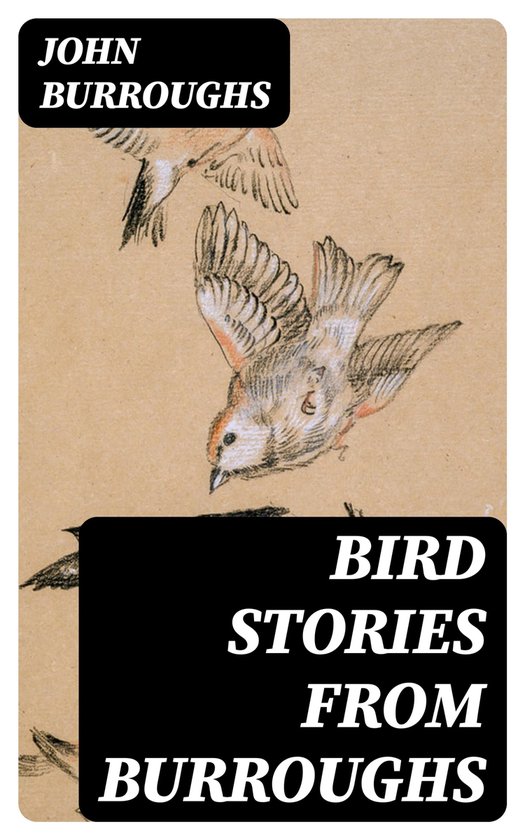 Bird Stories from Burroughs - cover