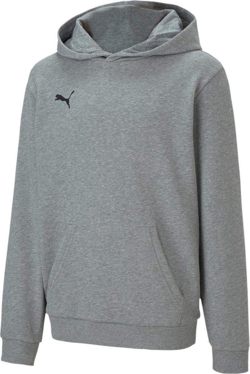 PUMA teamGOAL 23 Casuals hoody-sweatshirt voor kinderen 656711 Grijs