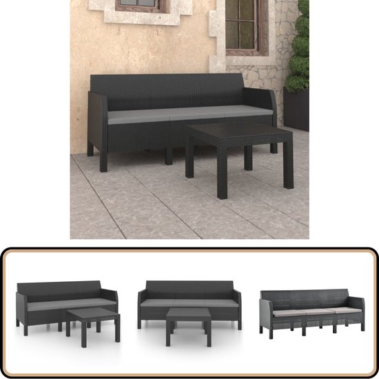 vidaXL Loungeset 2-delig - Antraciet - Rattanlook Tuinstoel - Lounge Set - Buitentijd - Relaxen - Tuinset