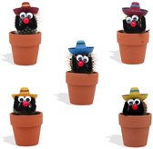 DutchLeafs Cactussen Mexicaan Sombrero in Terracotta Bloempot - 5 Stuks - Kwekerspot 5,5 cm - Hoogte 8-15 cm - Mini Cactussen - Kamerplanten