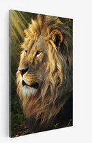 Saammp Canvas Schilderij - Leeuw in de zon - Natuur - Dieren - 75x100 - Foto op canvas - Wanddecoratie - Muurdecoratie Woonkamer - Slaapkamer decoratie - Canvas Print
