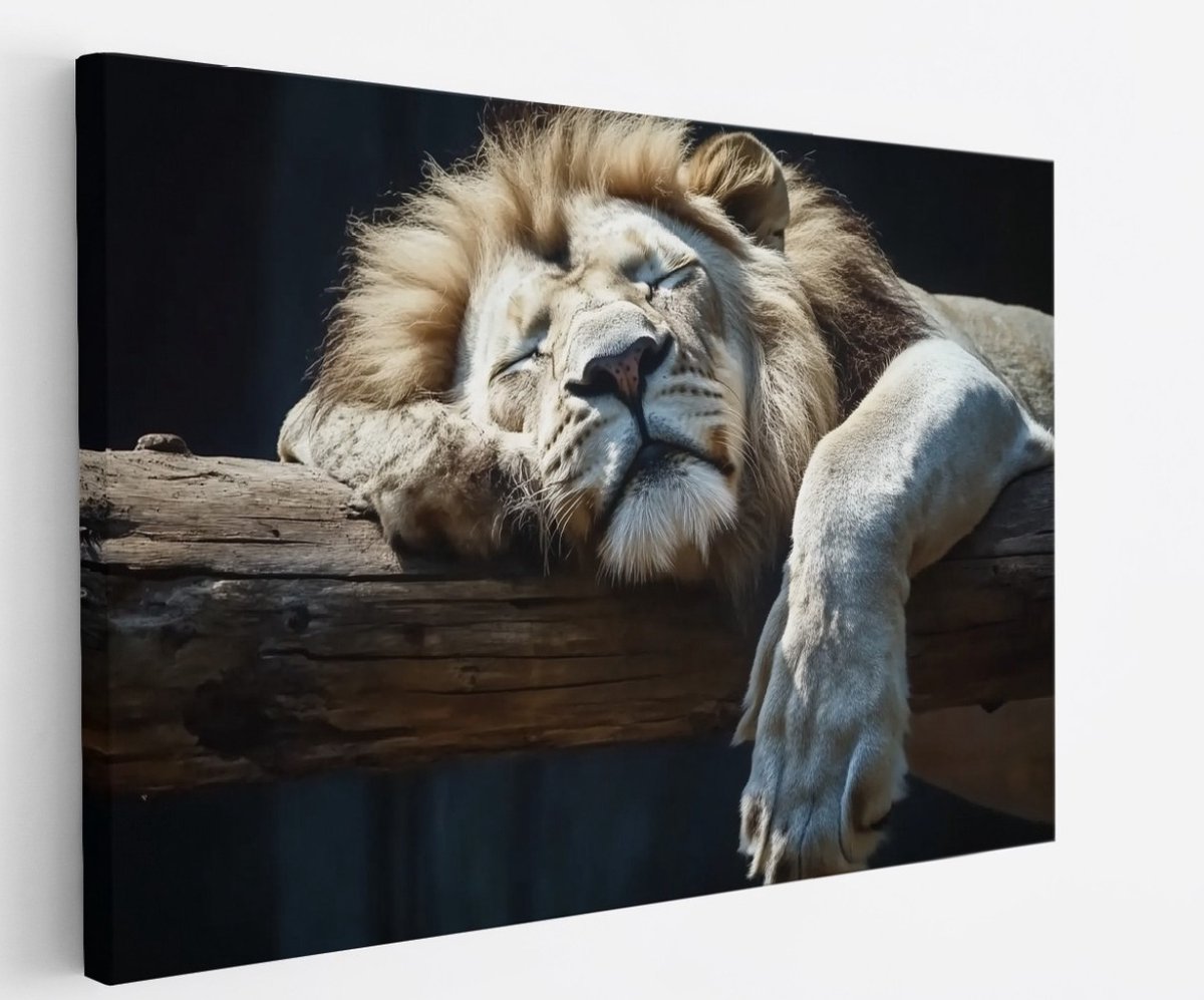 Saammp Canvas Schilderij - Slapende Leeuw op boomstronk - Dieren - Natuur - 150x100 - Foto op canvas - Wanddecoratie - Muurdecoratie Woonkamer - Slaapkamer decoratie - Canvas Print Multicolor