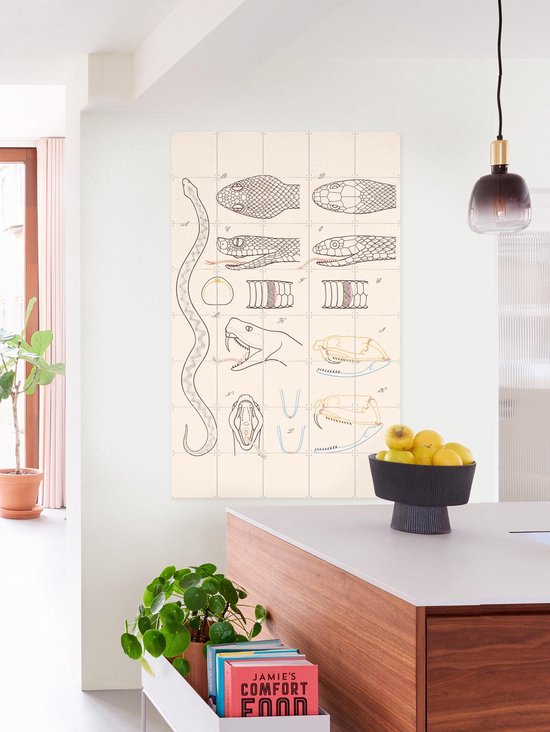 IXXI Serpent - Anatomie, Aster Edition - 100 x 140 cm - Gratis ophangtool - Grote wanddecoratie en posters - Technische Tekening, Illustraties, Line